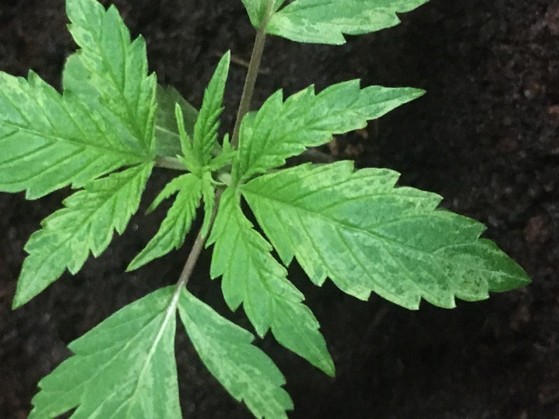 EDCB7DCF-B69F-439B-B24D-41668C43FA12