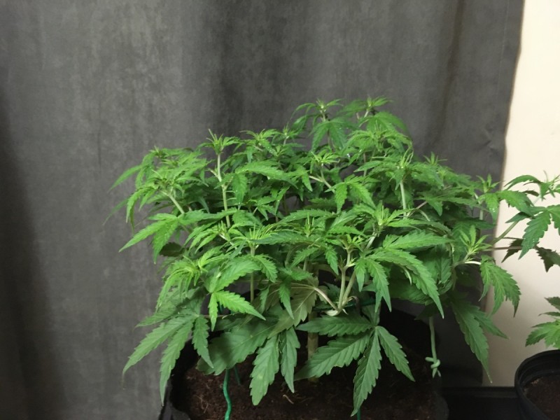 002D793D-2260-4269-85FC-6559F1859A25