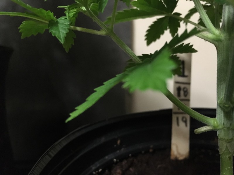 6BB4C55A-77A6-45C8-94E6-4267C2434352