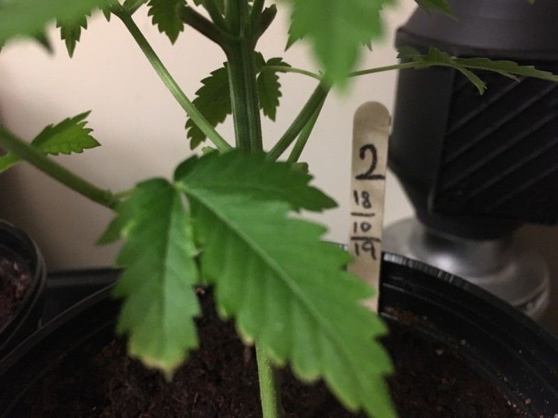 614B23C1-054E-48F7-9FC3-569716412067