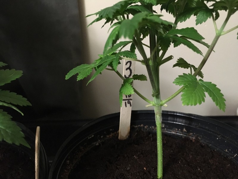 726B7D14-D4EC-4E43-BF02-0627BCBEBF83