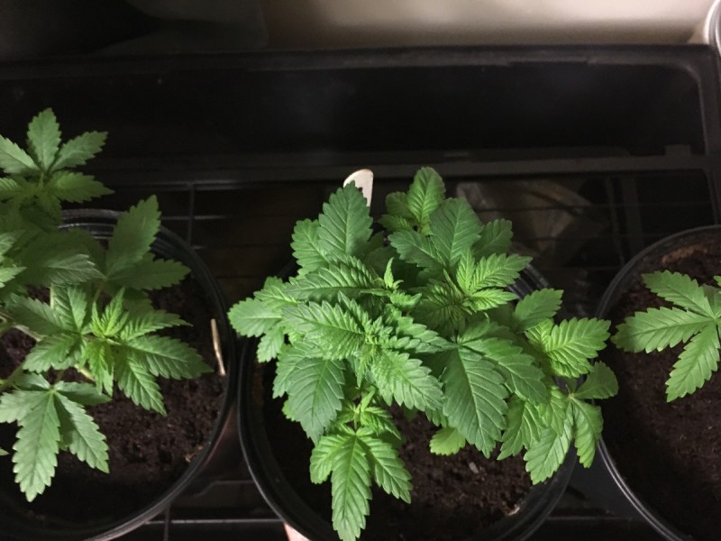 533A8A88-669A-4C70-9C4D-598FB2F97114