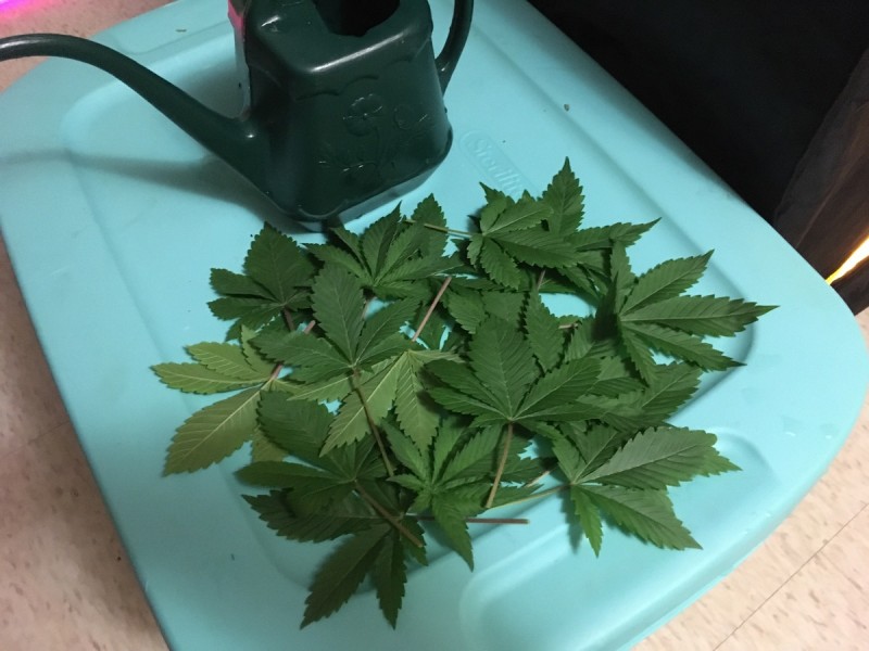 F85F72AB-4E56-4307-90C9-DF7560245656