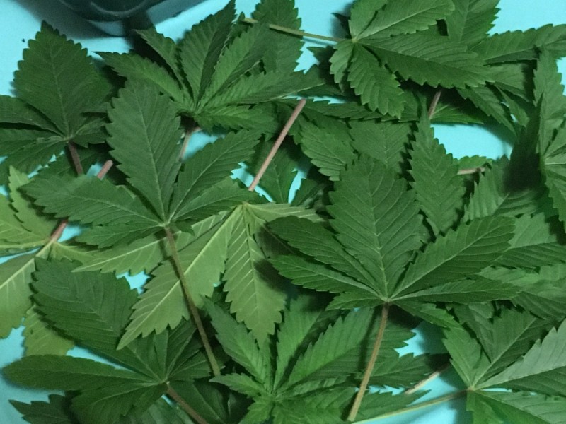 AD276B73-E0DE-444A-B4DC-00A839F8231C