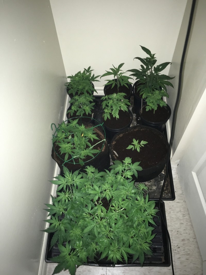 739E237A-5090-44C3-8038-DB1D05052889