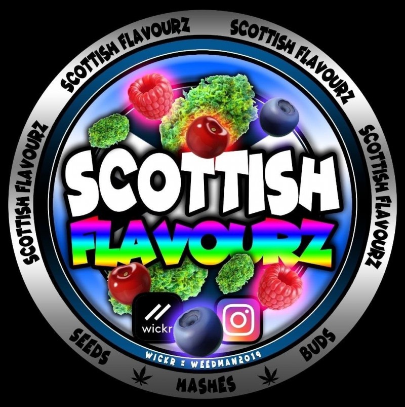 738E5354-AFDA-4456-A9C9-545A06A4BF7A