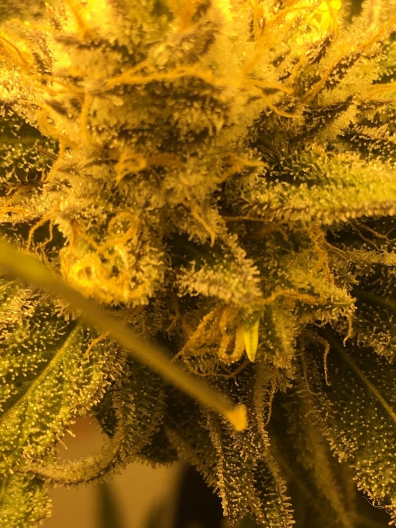 CB7DE4E7-FC75-43E2-BE78-DAF738120275