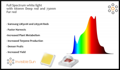 R strip spectrum