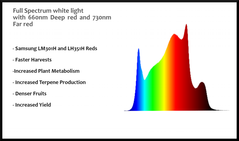 typre r spectrum