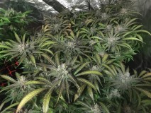 F1CB1832-21F6-4C3C-BC31-6E45B0FBB936