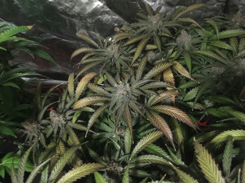 7A8634BA-739B-4666-AA02-DE25B703D7B6