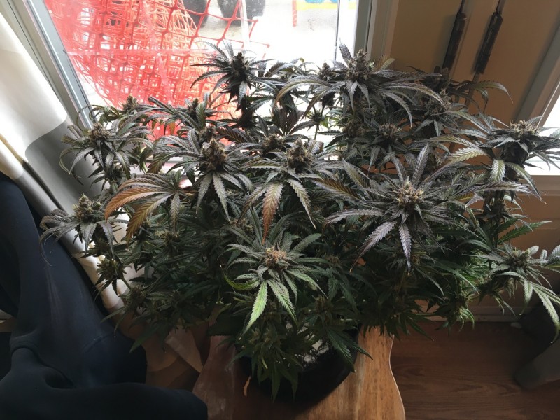 6B80AF48-2DFD-4D7F-BF79-E11B0C00E103