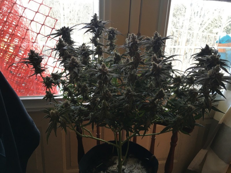 367A7CC1-BD80-4F15-92AA-08B1125BDC8B