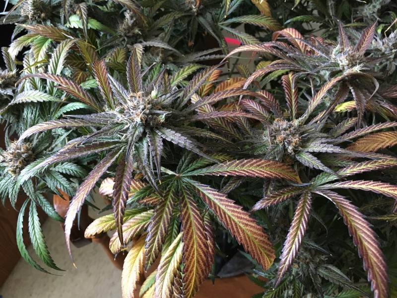 09609FF8-0322-4E9D-89D3-F125B1F1CD48