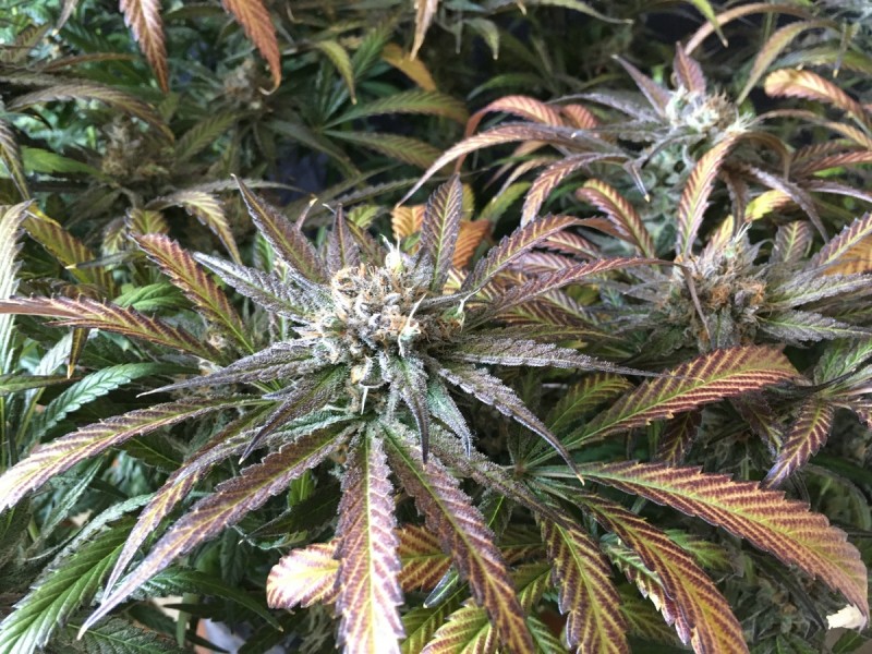 70F3EC56-95DB-4FB1-B3F6-1CA8A1F58D79