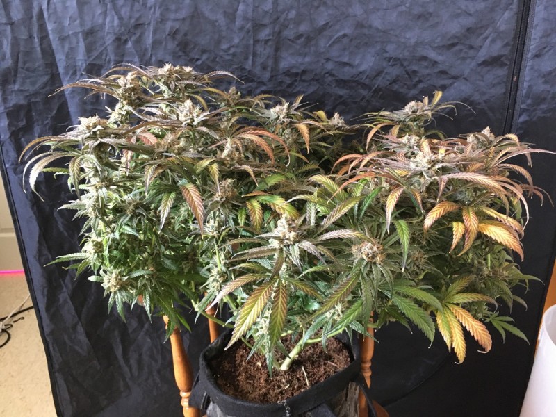 572FDA44-44B6-4650-A1B4-60D665289730