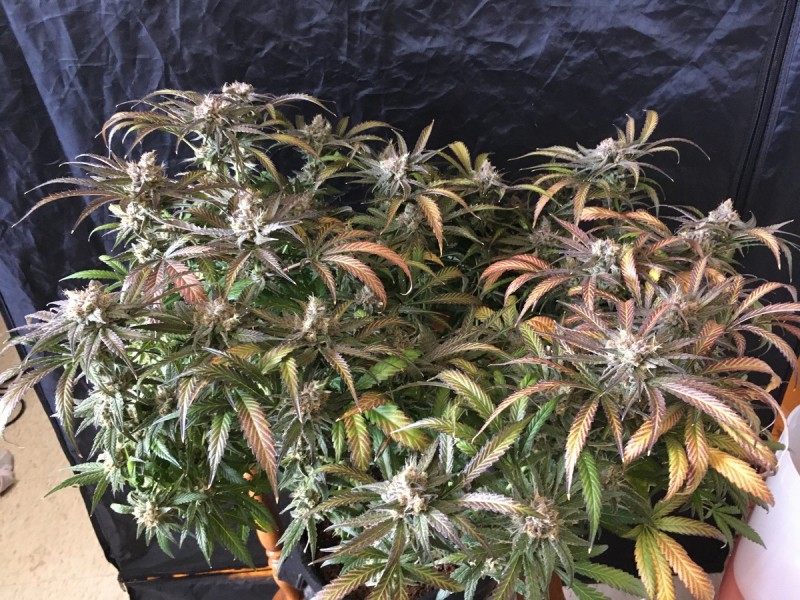 32BC8BB6-FD7E-42E0-AD73-F37A1FCF6D16