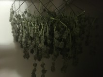 9696CE22-0977-4F4B-9654-BB404BD9D1DA