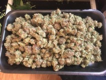 DF5554D6-A9FF-47A3-9DE0-7DF9BA8A5590