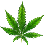 029901D4-066E-423E-92A3-086EB248AF00