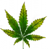 10E77A60-7A62-48FD-B3EE-48F4550AA84E