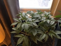 6CEFCCAE-930C-4B0E-BFE0-829EDEA2E94F