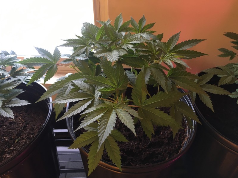 F6E70A1B-082F-4856-B12C-1DFEEBAB04BB