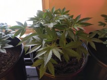 F6E70A1B-082F-4856-B12C-1DFEEBAB04BB