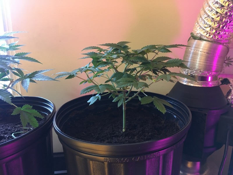 FF2AE74A-1945-4D13-916F-28F6D892E456