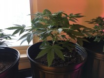 C8EA14B9-BADE-42BB-A805-73B277A4169A