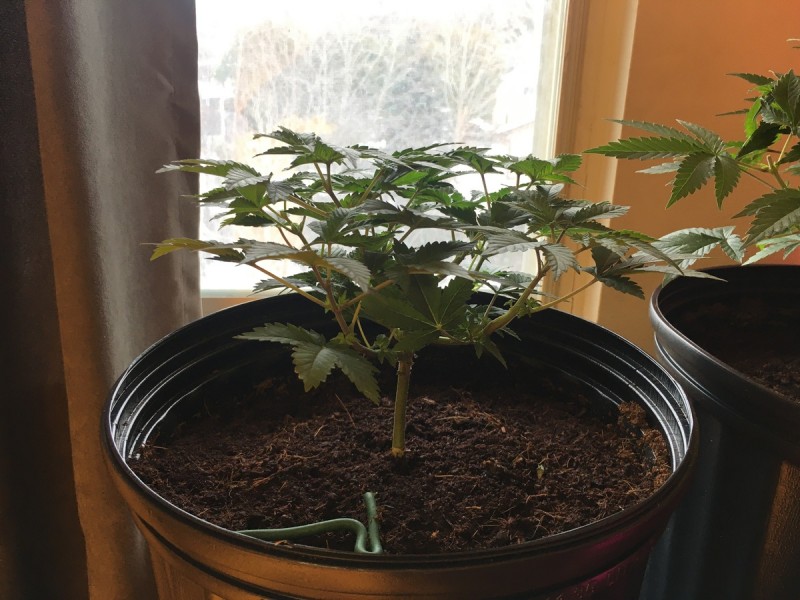 1AEFF42B-0094-4C03-8DE5-3CB5872E2C9D