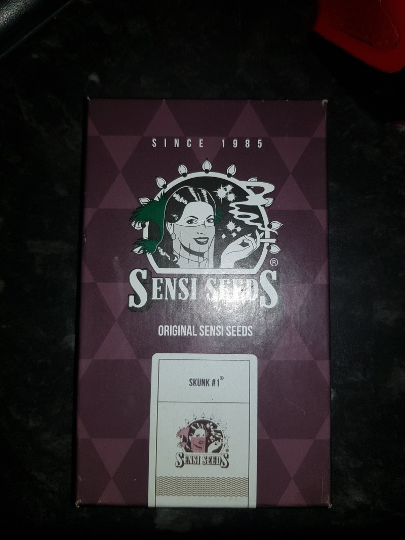 Sensitive seeds skunk #1