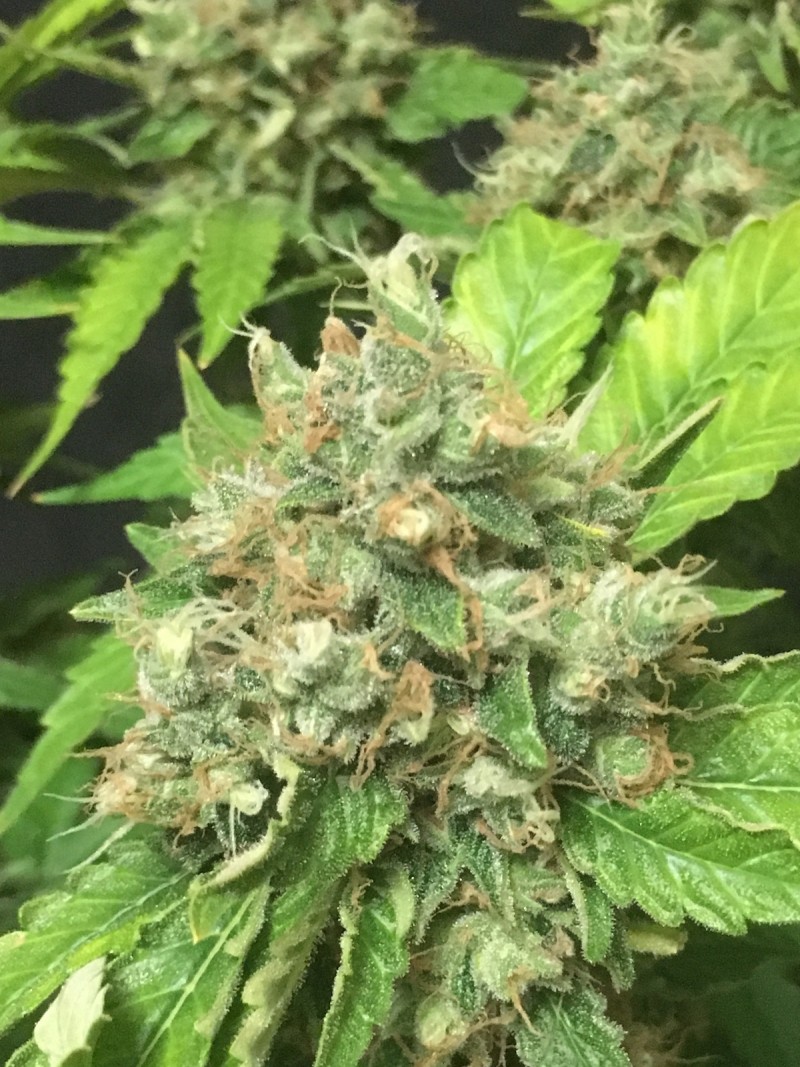 B14A8730-A887-4BF0-A2CB-2717D7FD58E5