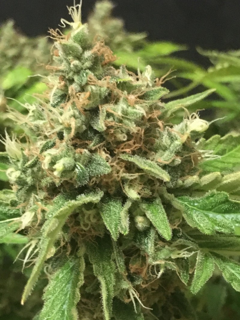 FBD10ABD-FE36-4E83-97B2-B104474064BE