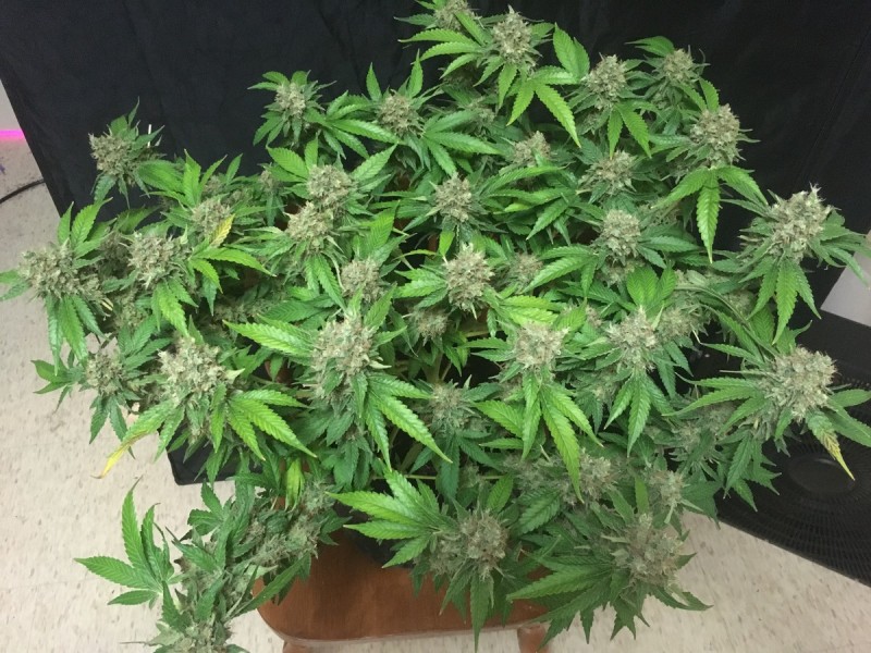 20B0EC94-521F-4088-8BBD-B100777F60F1