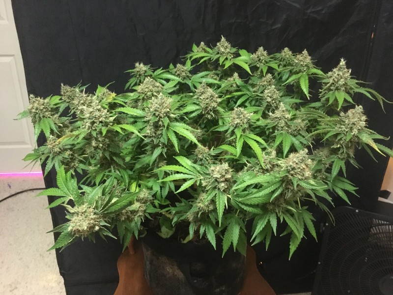 968E2D44-8FBD-4DB8-85C7-CDDF89069FBB