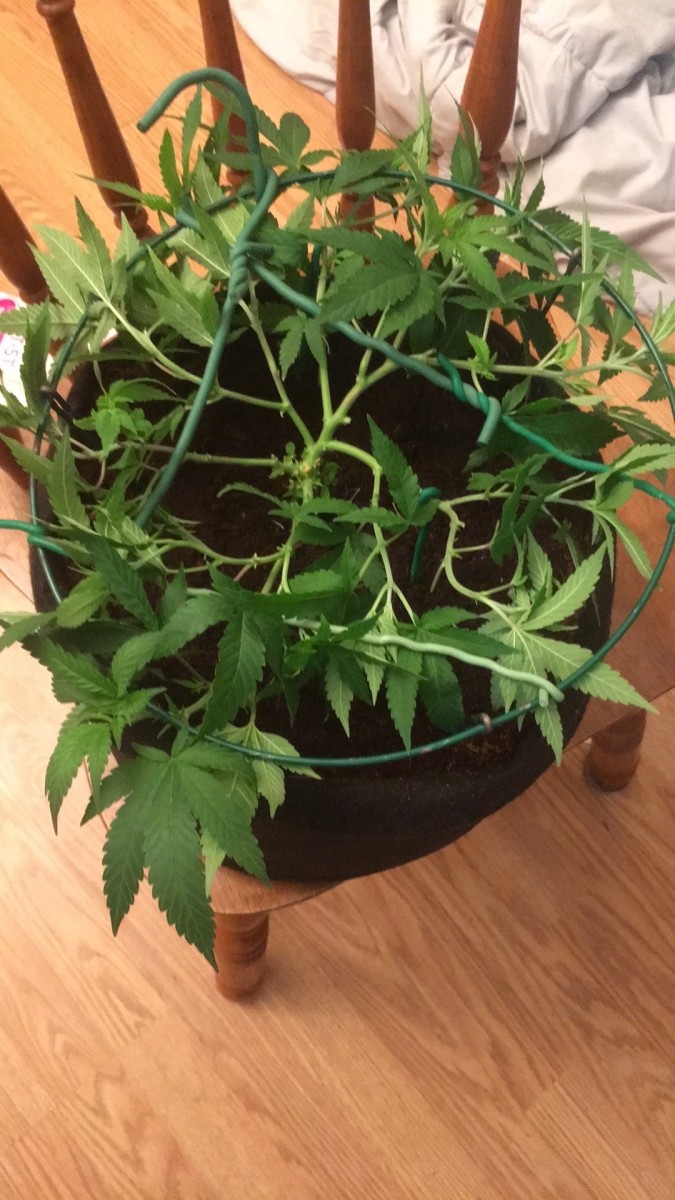 274F4967-8CEA-423A-8116-407FDBF5DBC8