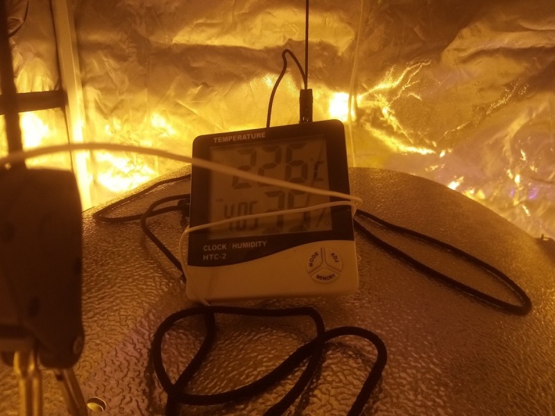 Skywalker X Hindu Kush in A quick Qube