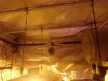 Skywalker X Hindu Kush in A quick Qube