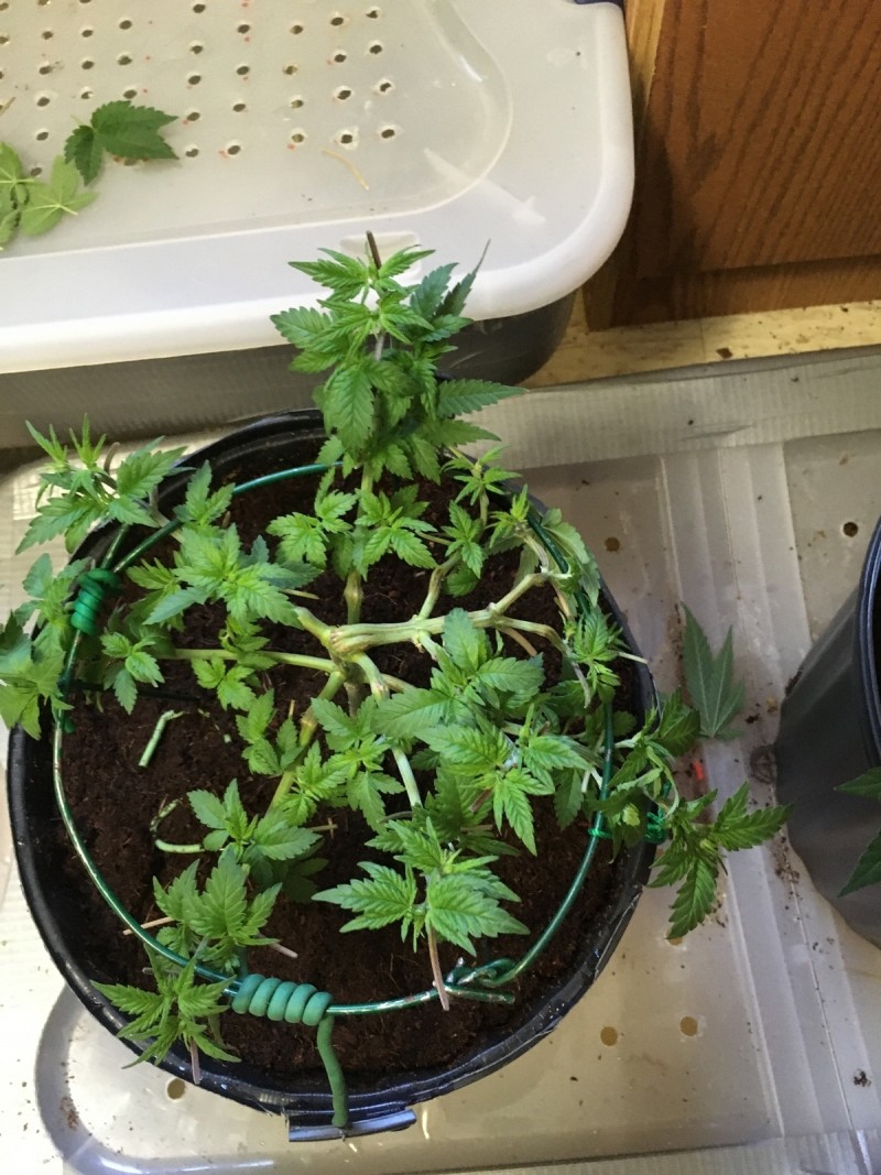 A99098F0-1F8F-4104-AFBF-89608E7562A8