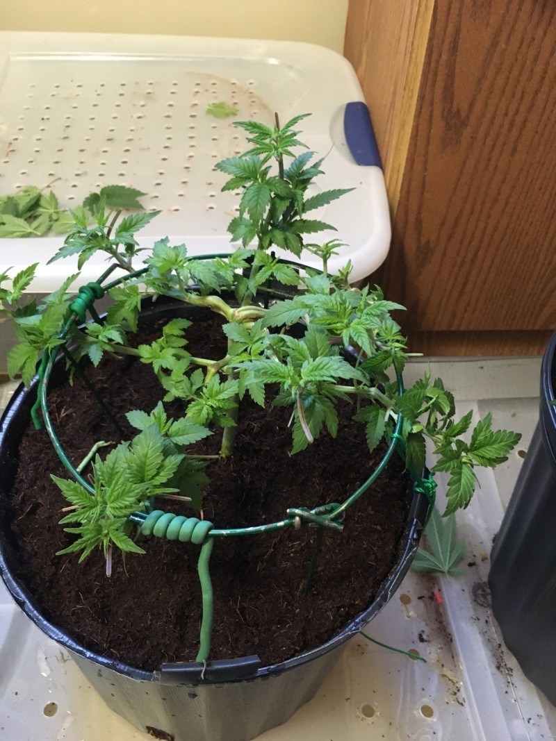 A99098F0-1F8F-4104-AFBF-89608E7562A8