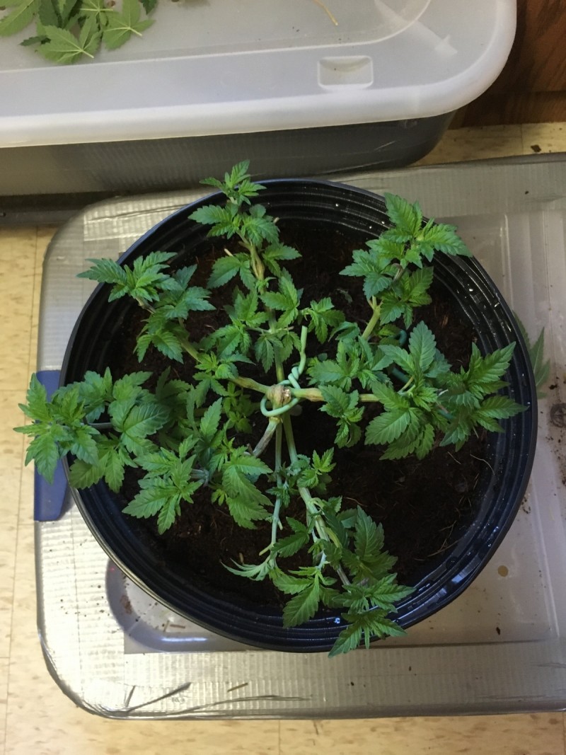 A99098F0-1F8F-4104-AFBF-89608E7562A8