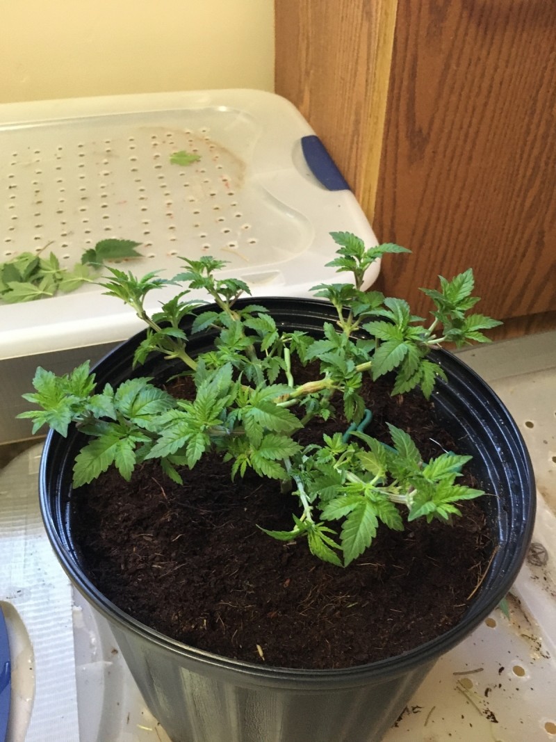 A99098F0-1F8F-4104-AFBF-89608E7562A8