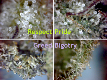 Back to the basics - The Shortest Path of Lesser Transformation