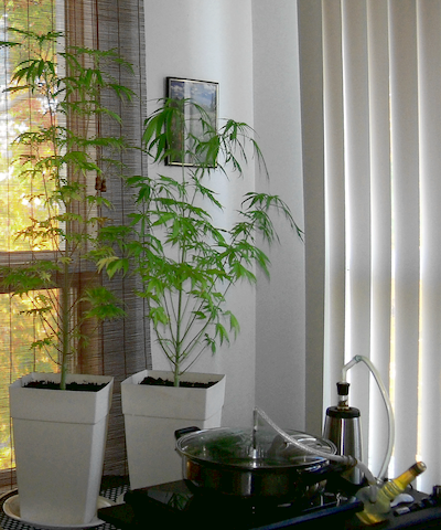 Egzoset's Alternative to MistMakers - Context View (2013-Sep-24)