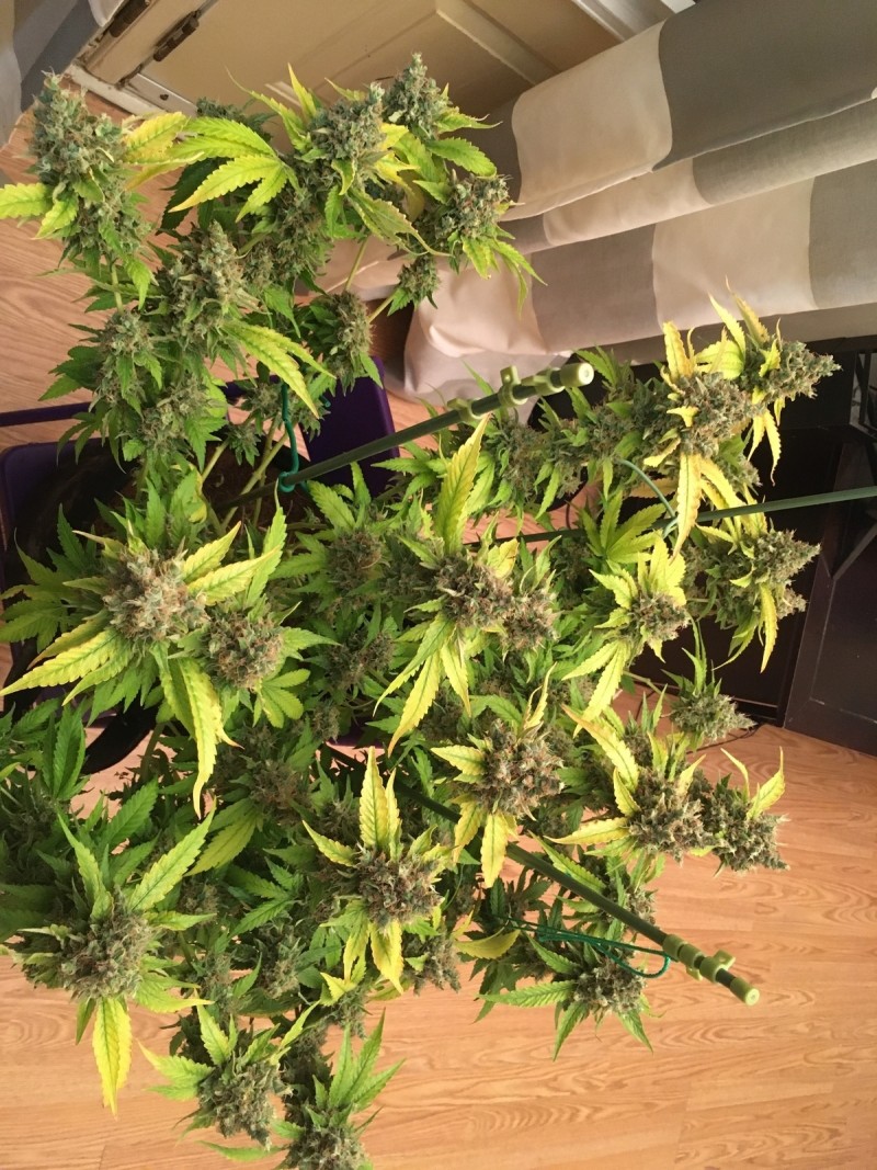 9737CB1A-A02C-4DAD-A7EC-5B4DCD1396FA