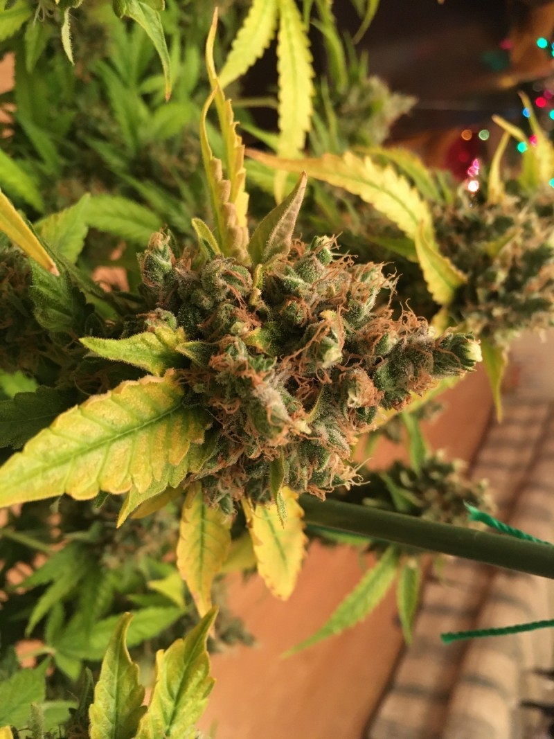 F5C839C3-F7E0-4EBB-81A5-FF4E187FB8FC