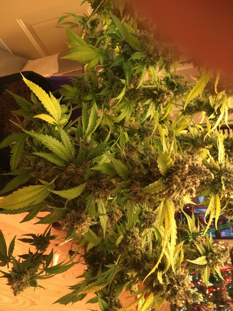 53F82D65-F7D8-403E-AD42-10F567D39966