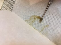 Peyote cookies dry sift rosin press