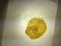 Peyote cookies dry sift rosin press